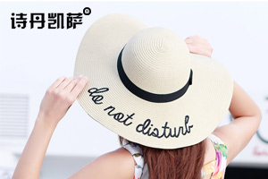 大沿草帽 大沿草帽